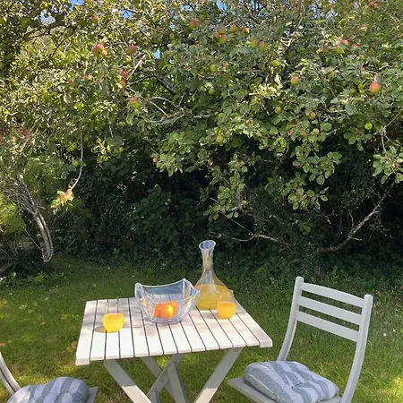 Semesterbostad The Nook By Trident Homes Oranmore